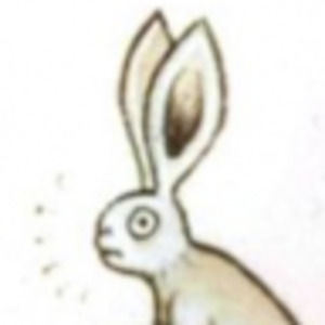 Meet your Posher, Hayley